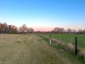 Boundary fence