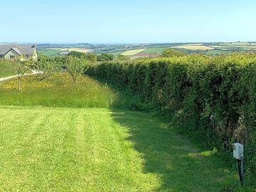 Orchard pitch