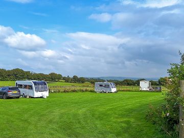 Grass pitches