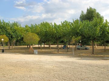 Large camping field