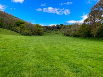 Green spaces
