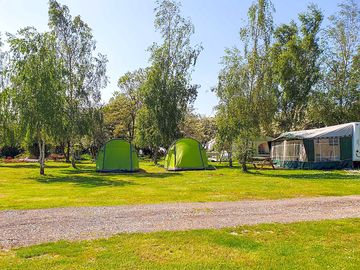 Electric grass touring or large tent pitch