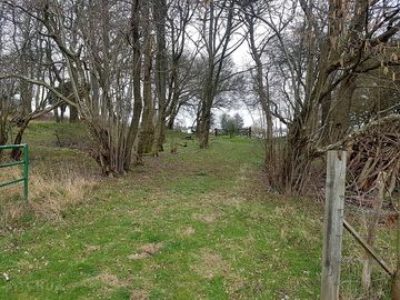Gate into the small woodland