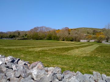 Grassy pitches
