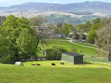 View across the park