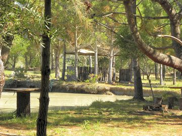 View of the site