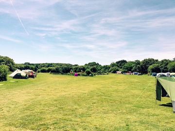 View across the site