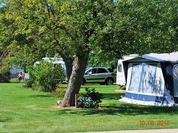 Pitches under the apple trees
