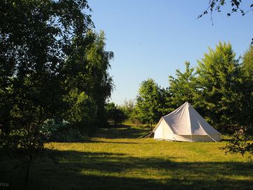 Shared pitch at the site