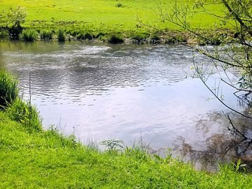 Stream by the meadow