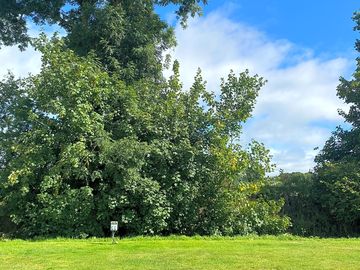 Spacious grass pitches