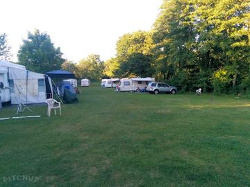 Grass pitches