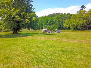 Solo tent grass pitch