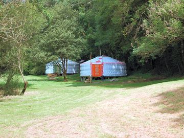 Secluded yurts