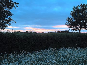 Sunsets view