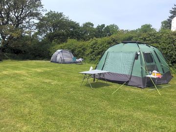 Under the oaks and tent grass pitch