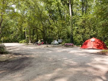 Shaded sites under the trees