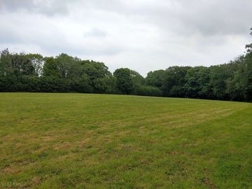 Dog walking area