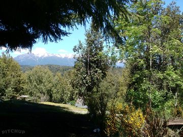Looking through the trees to the mountains
