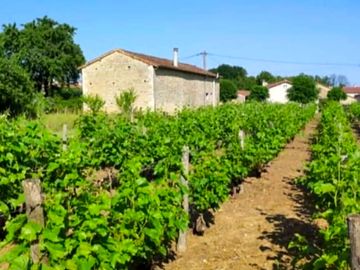 Le Petit Vignoble Gites et Glamping