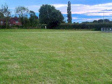 Open field