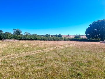 Field for camping