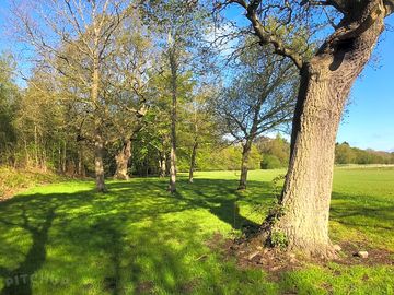Camping field