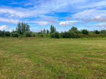 Grass pitches with lots of space