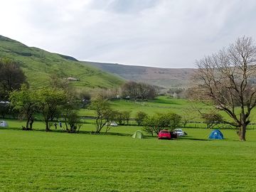 Visitor image of the site