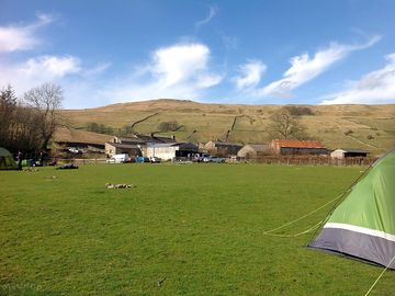 Looking towards the barn where the washing facilities are located