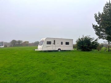 Large electric pitch