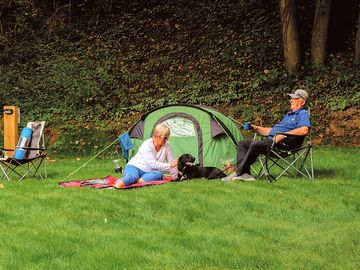 A small pitch on the dell