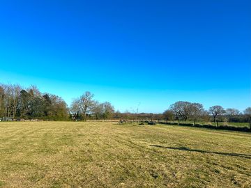 Grass and earth pitch
