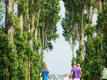 A family stroll through the park
