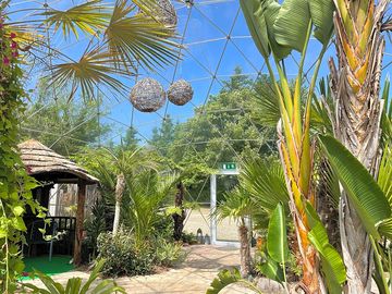 Entrance view of semi-tropical dome
