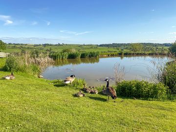 Visitor image of the lake on site