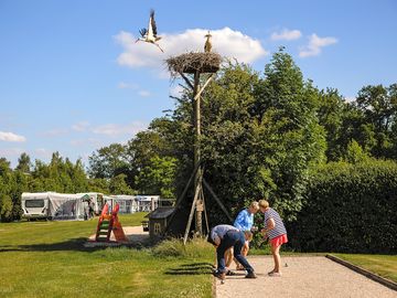 Petanque
