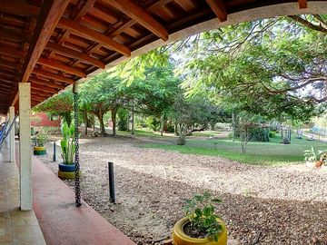 View from the terrace