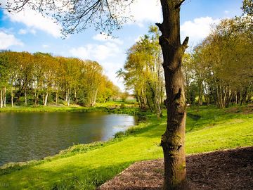 Lakeside views from our cabins