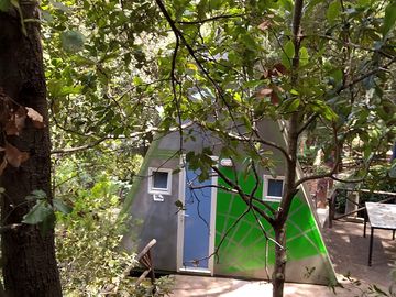 Cabin hidden among the trees