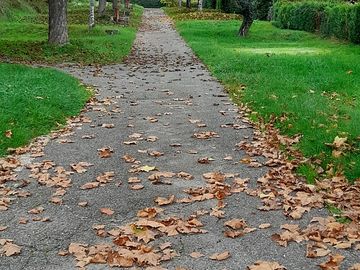 Track to the pitches