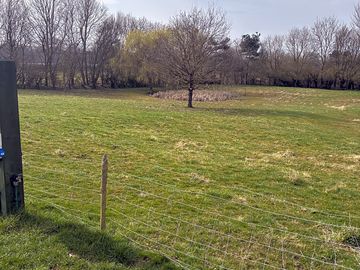 View of the site