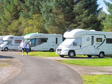 Lomond Woods Holiday Park | Touring Caravan Pitches