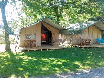 Safari tents among the trees