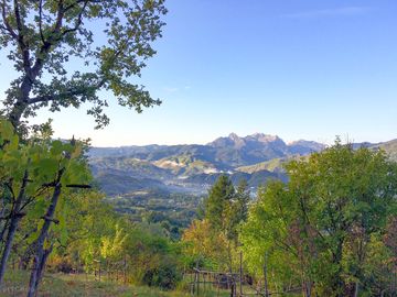 Visitor image of the early morning naps by the mountains