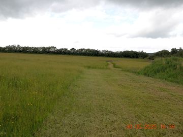 Tent area and wildflower meadow walk