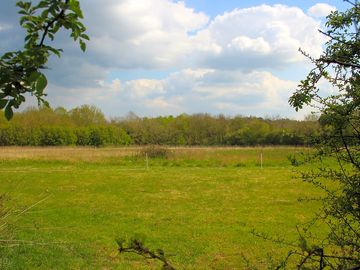Beyond the orchard for grass pitches
