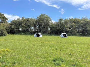 Tents in the camping area