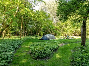 A cool and shaded spot