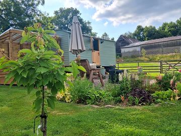 Exterior of robins nest and garden